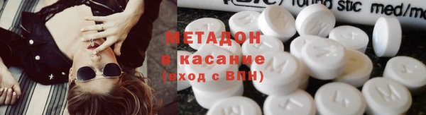 прущие грибы Ахтубинск