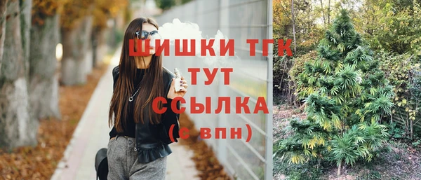 сатива Абаза