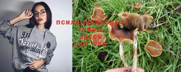 ешки Алзамай