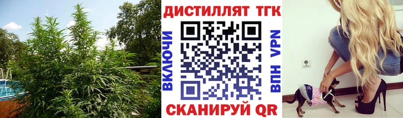 Дистиллят ТГК концентрат Элиста