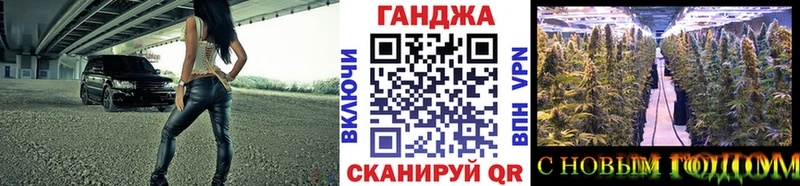 закладки  Элиста  маркетплейс как зайти  Конопля сатива 